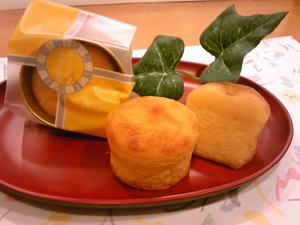 f:id:kasyou-umon:20110517091652j:image