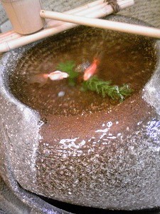 f:id:kasyou-umon:20110523160027j:image