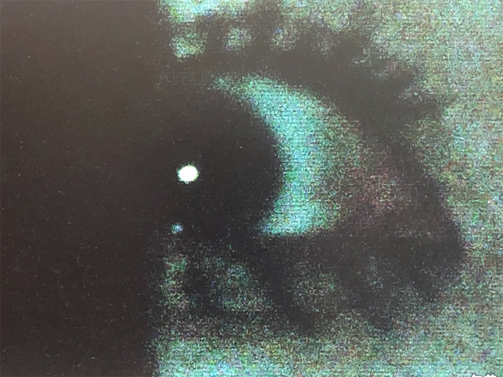 f:id:kat_tunamayo:20190723023207j:image f:id:kat_tunamayo:20190723023207j:image