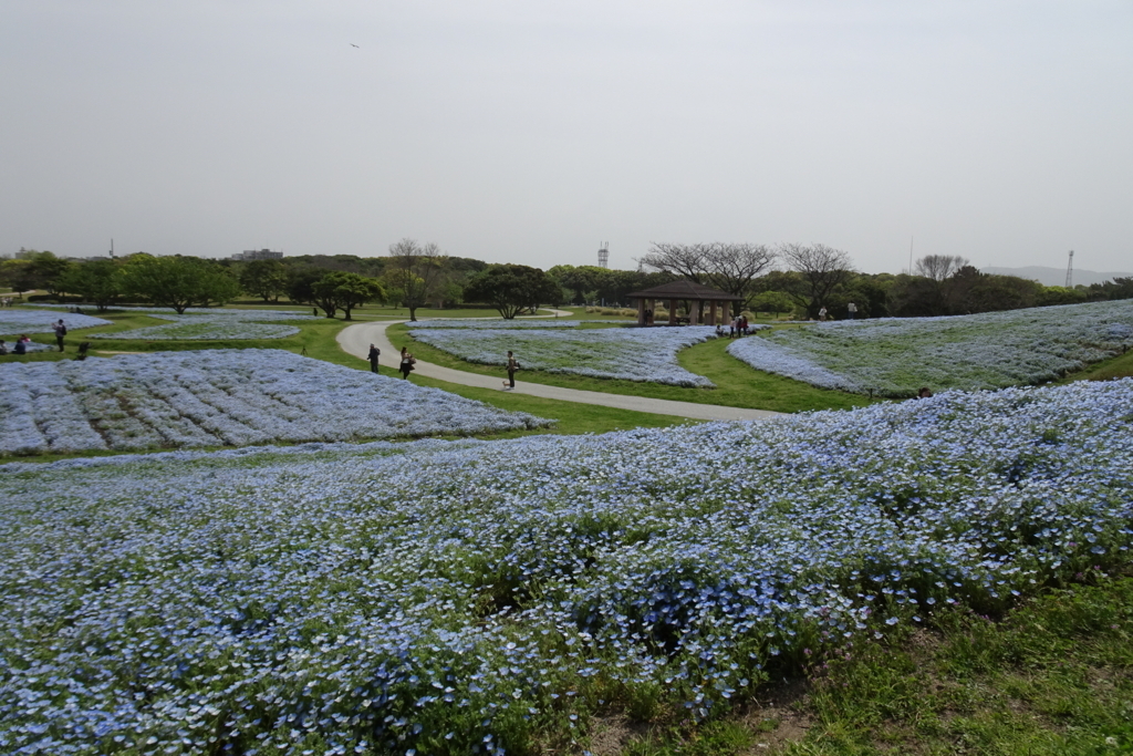 f:id:katagiri-mikan:20180417145239j:plain