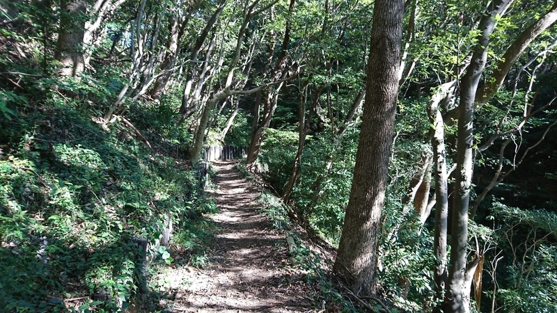 f:id:katagiri-mikan:20201107103450j:plain f:id:katagiri-mikan:20201107103450j:plain