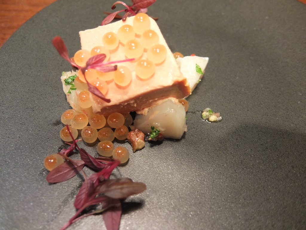 f:id:katahabahiroshi:20161214215805j:plain