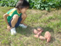 20121015145557