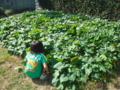 20121015145607