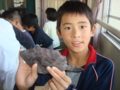 20121030171108