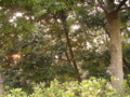 20110223231258