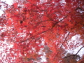 20111126000513