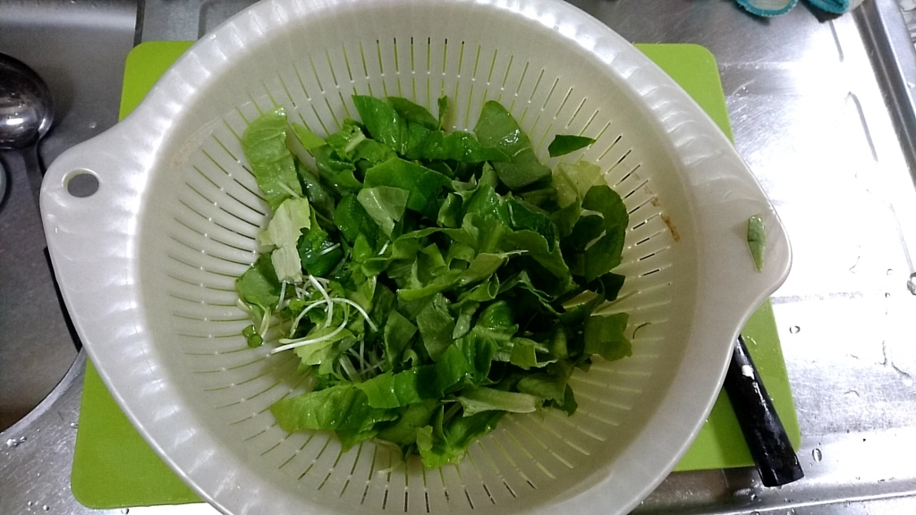 f:id:katakorix:20180216202455j:plain f:id:katakorix:20180216202455j:plain