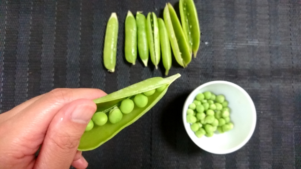 f:id:katakorix:20180507220748j:plain f:id:katakorix:20180507220748j:plain
