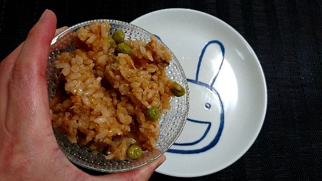 f:id:katakorix:20180516133054j:image f:id:katakorix:20180516133054j:image