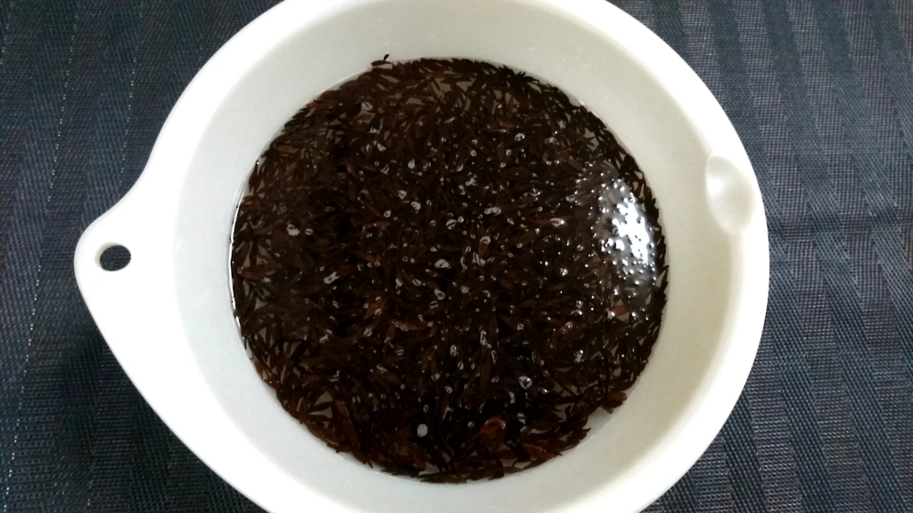 f:id:katakorix:20180523173654j:plain f:id:katakorix:20180523173654j:plain