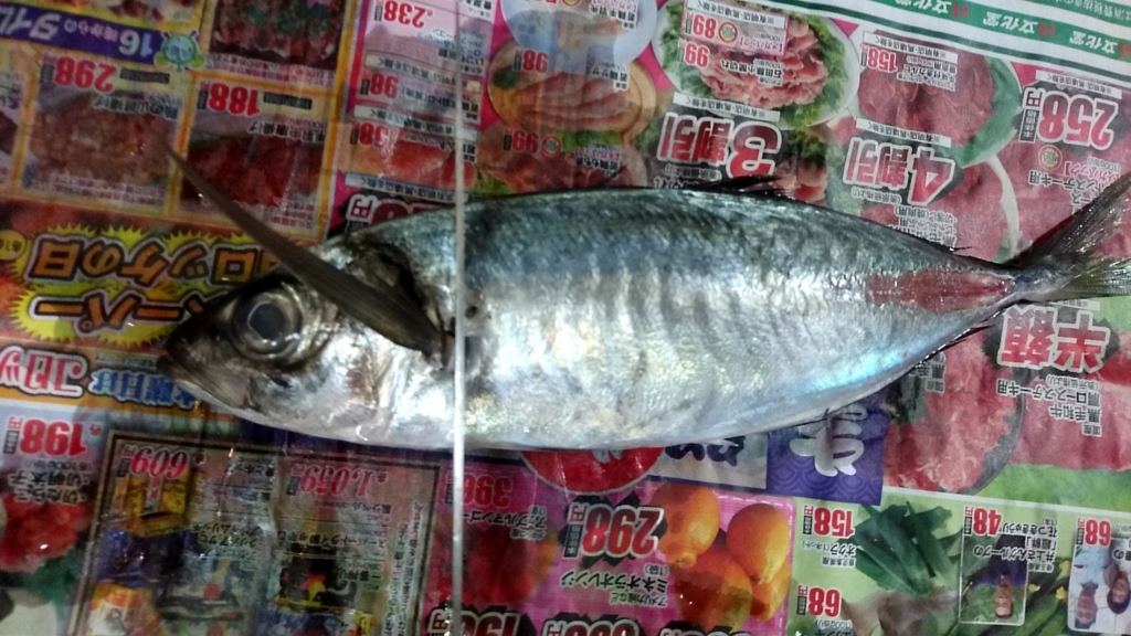 f:id:katakorix:20180523174815j:plain f:id:katakorix:20180523174815j:plain