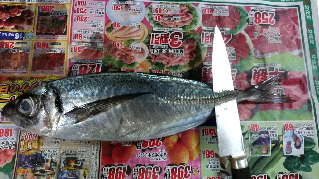 f:id:katakorix:20180523174854j:plain f:id:katakorix:20180523174854j:plain