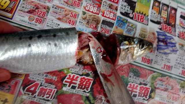 f:id:katakorix:20180926134254j:image f:id:katakorix:20180926134254j:image