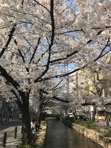 f:id:katamame:20180327113002j:image:w350