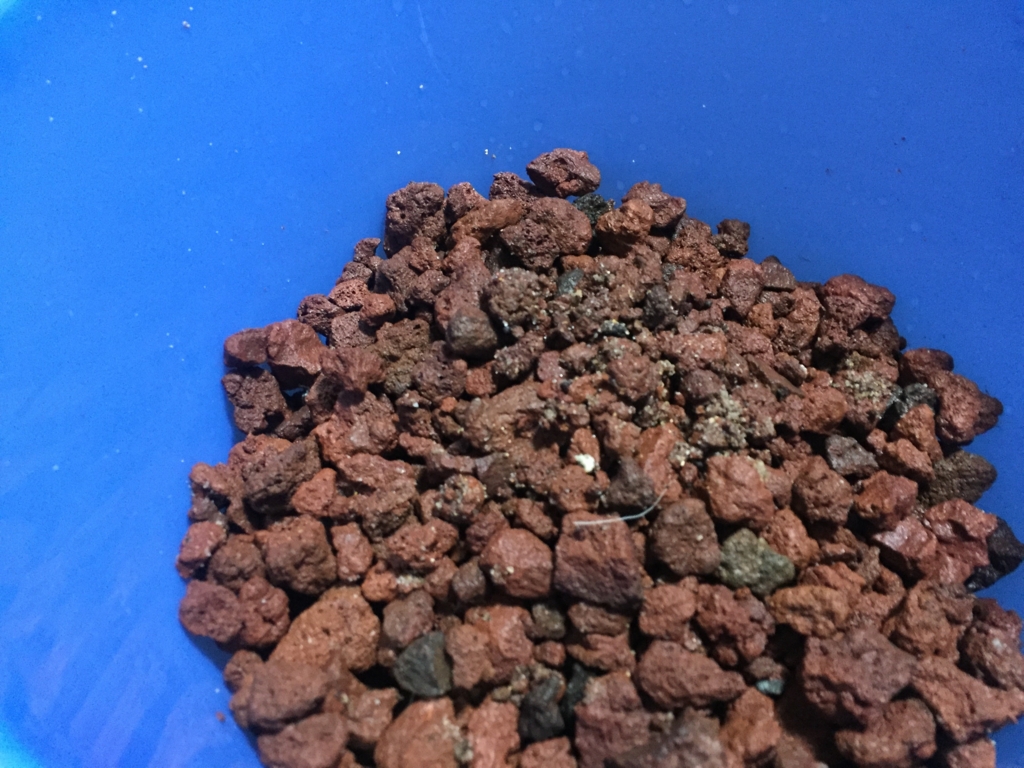 溶岩石と流木とウィローモスを導入 ドリリウム 溶岩石と流木とウィローモスを導入 ドリリウム