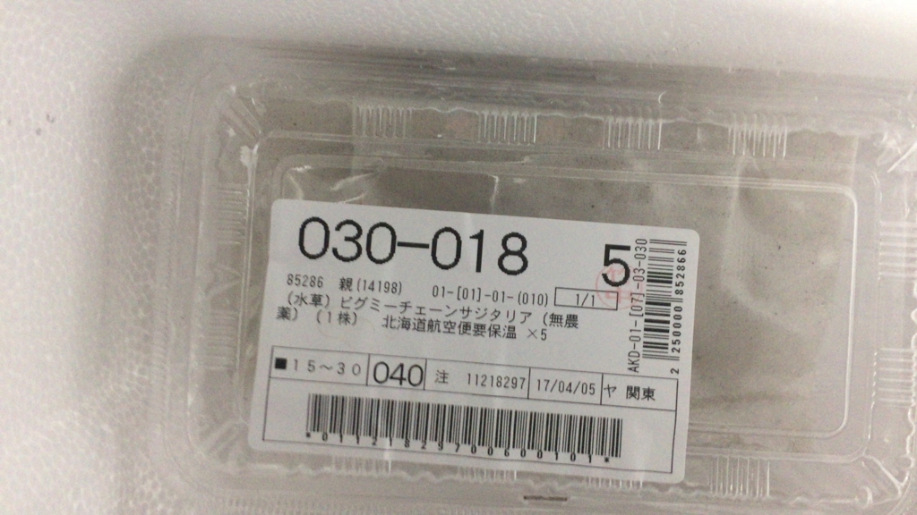 f:id:katamichinijikan:20170411142236j:plain f:id:katamichinijikan:20170411142236j:plain