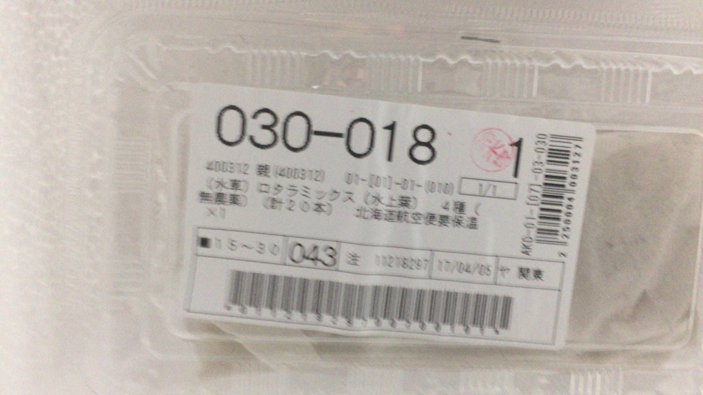 f:id:katamichinijikan:20170411142245j:plain f:id:katamichinijikan:20170411142245j:plain