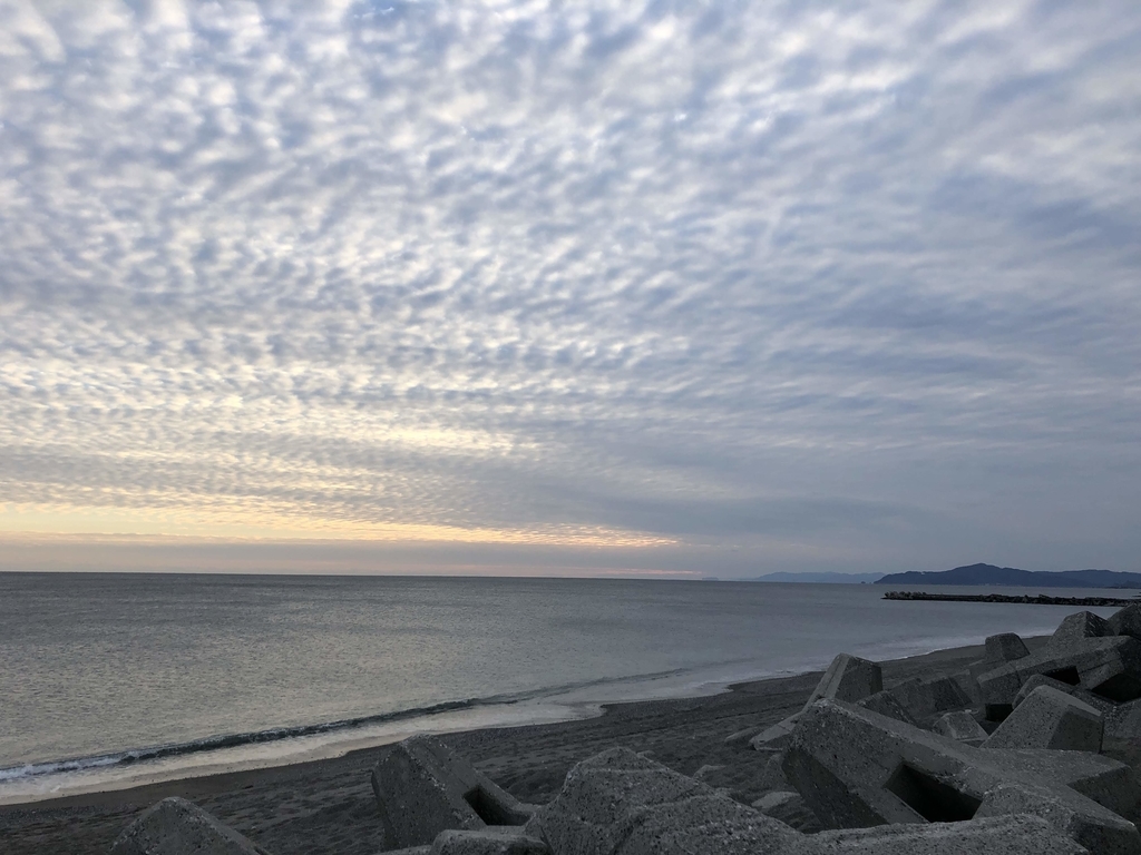 f:id:katamichinijikan:20190109203302j:plain