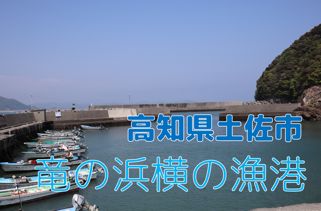 釣り場調査 高知県土佐市 竜の浜横の漁港はどんな釣り場 漁港 ドリリウム