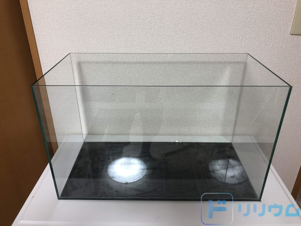実例紹介 小鳥をガラス水槽で飼おう メリットやデメリット ポイントを解説します ドリリウム 実例紹介 小鳥をガラス水槽で飼おう メリットやデメリット ポイントを解説します ドリリウム
