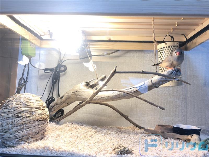 f:id:katamichinijikan:20190613155502j:plain