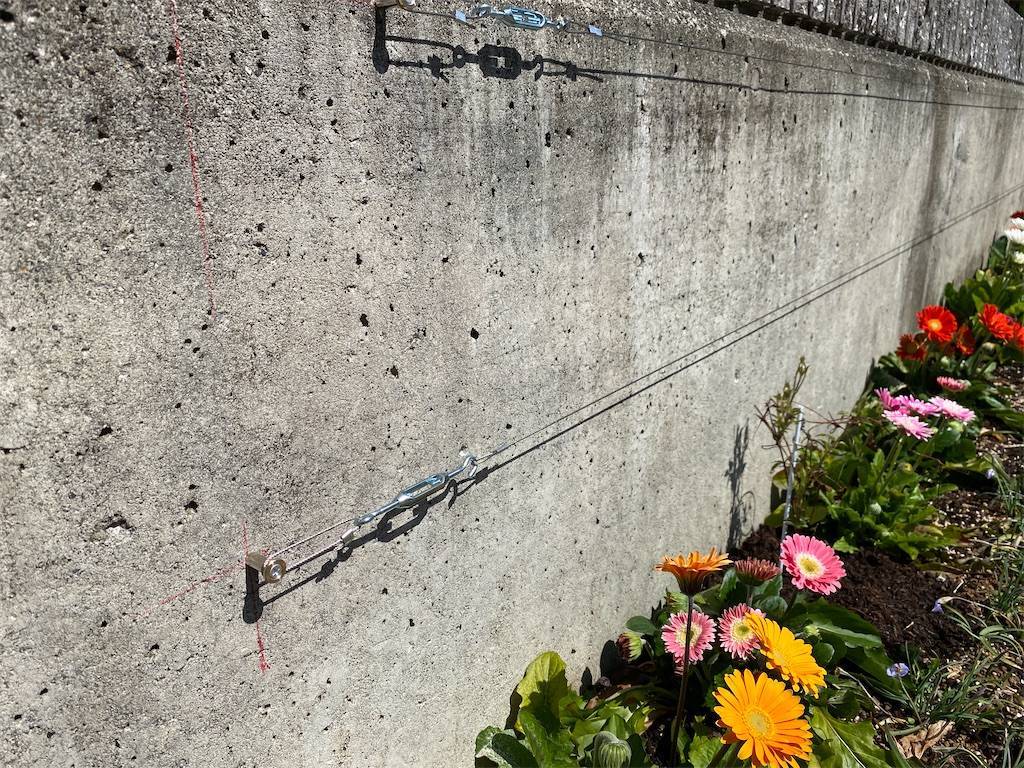 f:id:katamichinijikan:20220319182638j:image f:id:katamichinijikan:20220319182638j:image