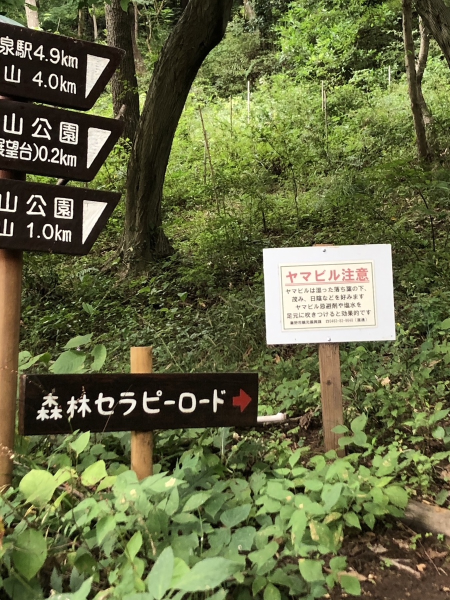 f:id:kataroh:20210830210654j:plain