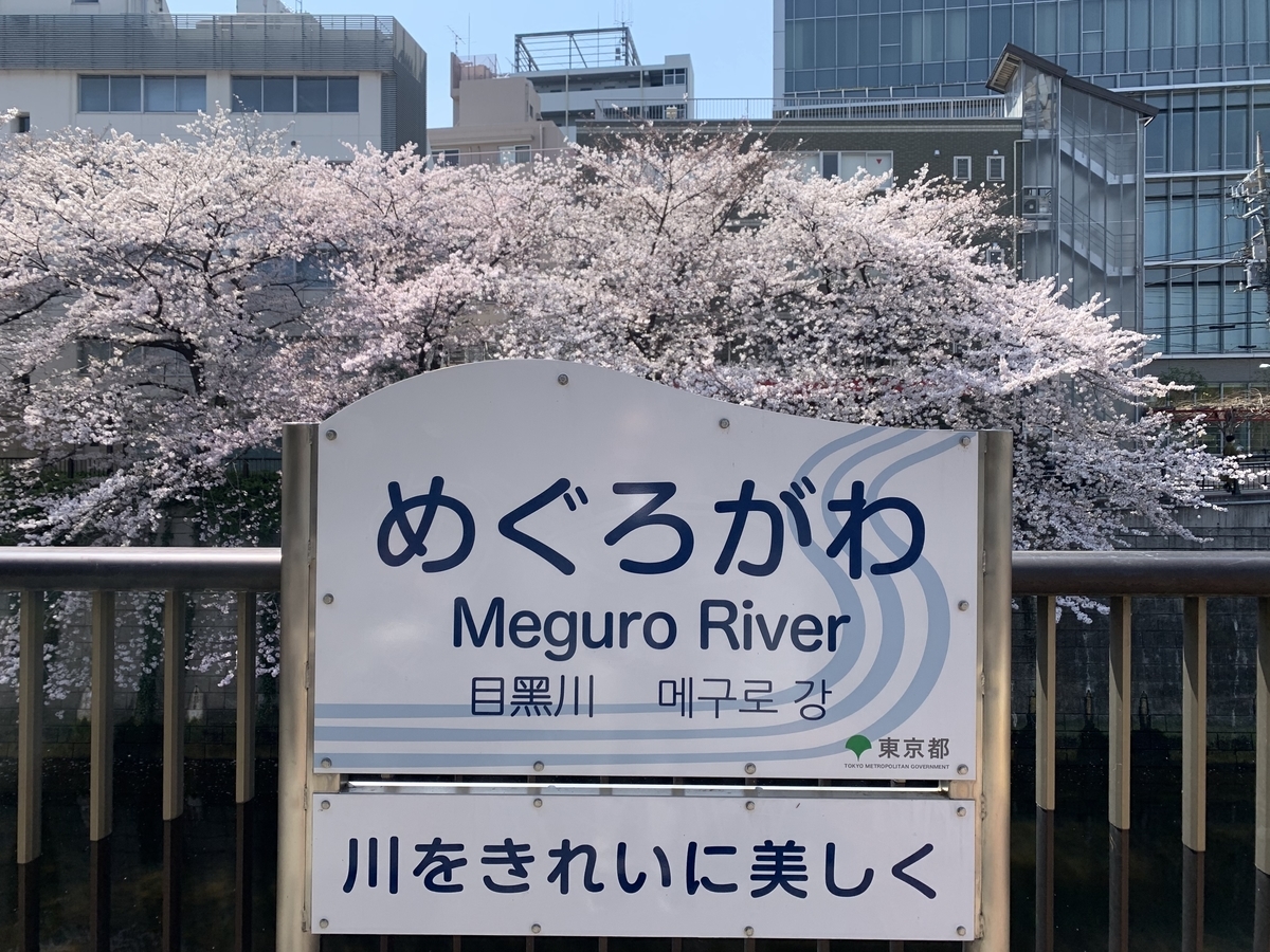 f:id:kataryuu:20210327210844j:plain