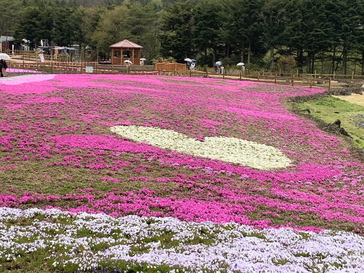 f:id:kataryuu:20210429182120j:plain