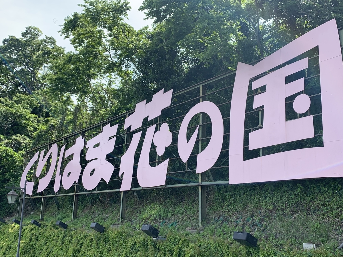 くりはま花の国 全面ポピーだらけ ネモフィラも頑張っている 無料でこれはすご過ぎ ポピー取り放題 どこでもgo