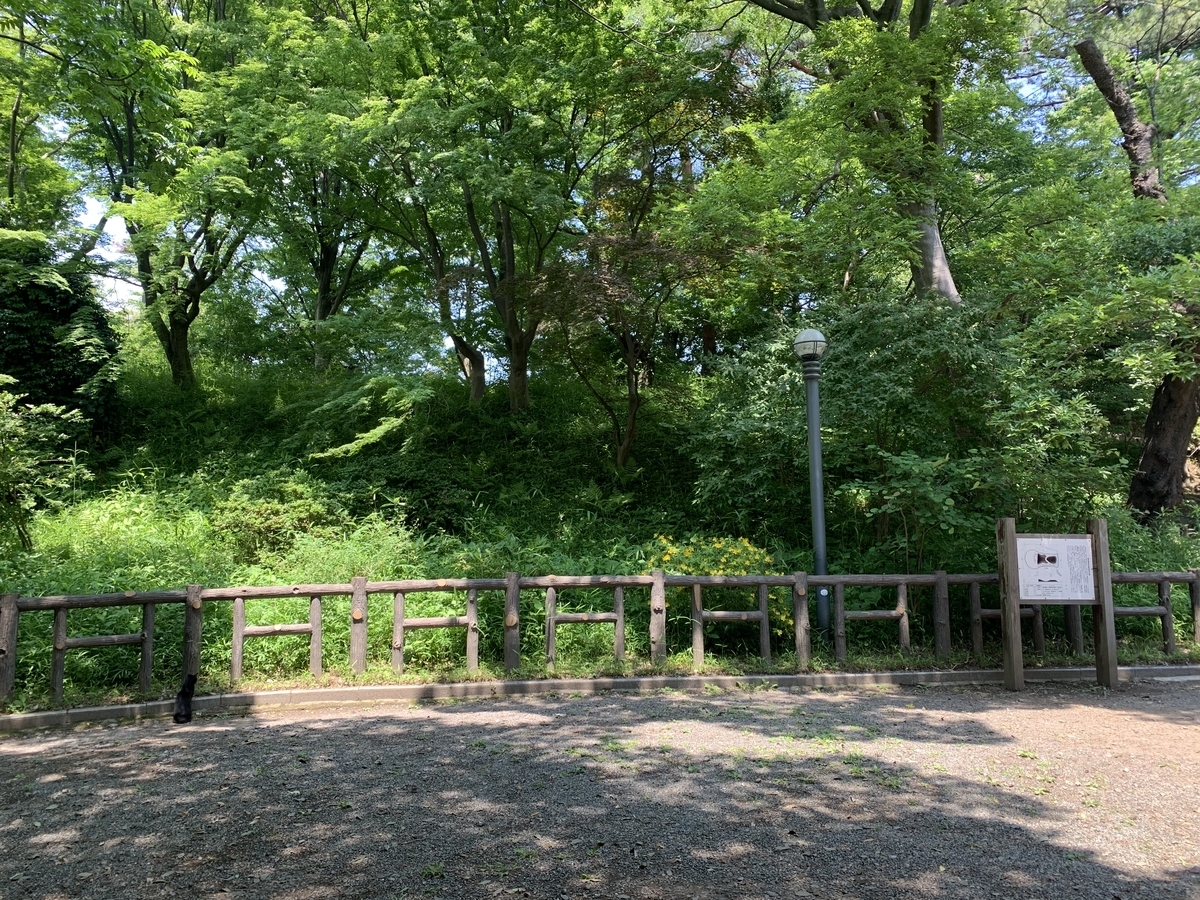 f:id:kataryuu:20210531105359j:plain