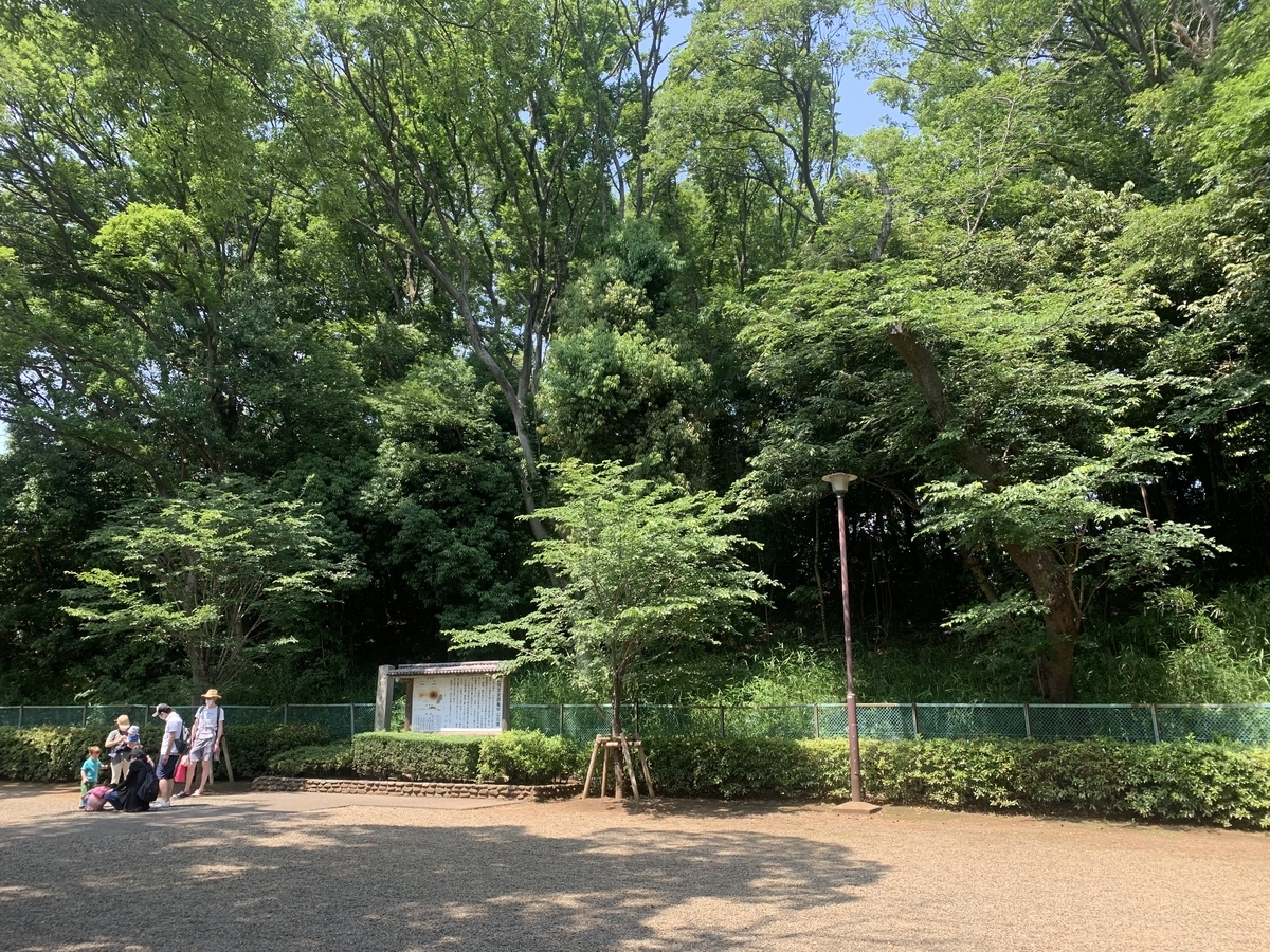 f:id:kataryuu:20210531105845j:plain
