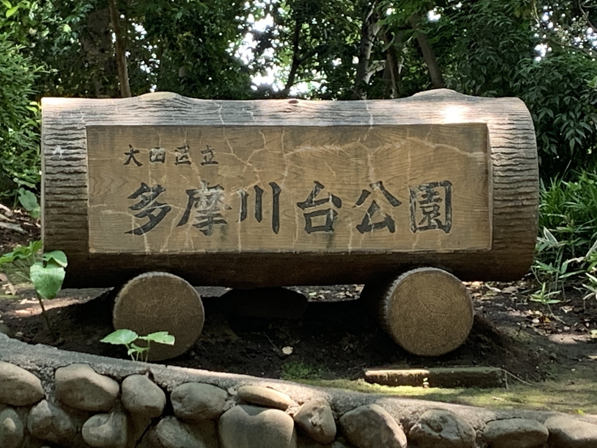 f:id:kataryuu:20210531203835j:plain
