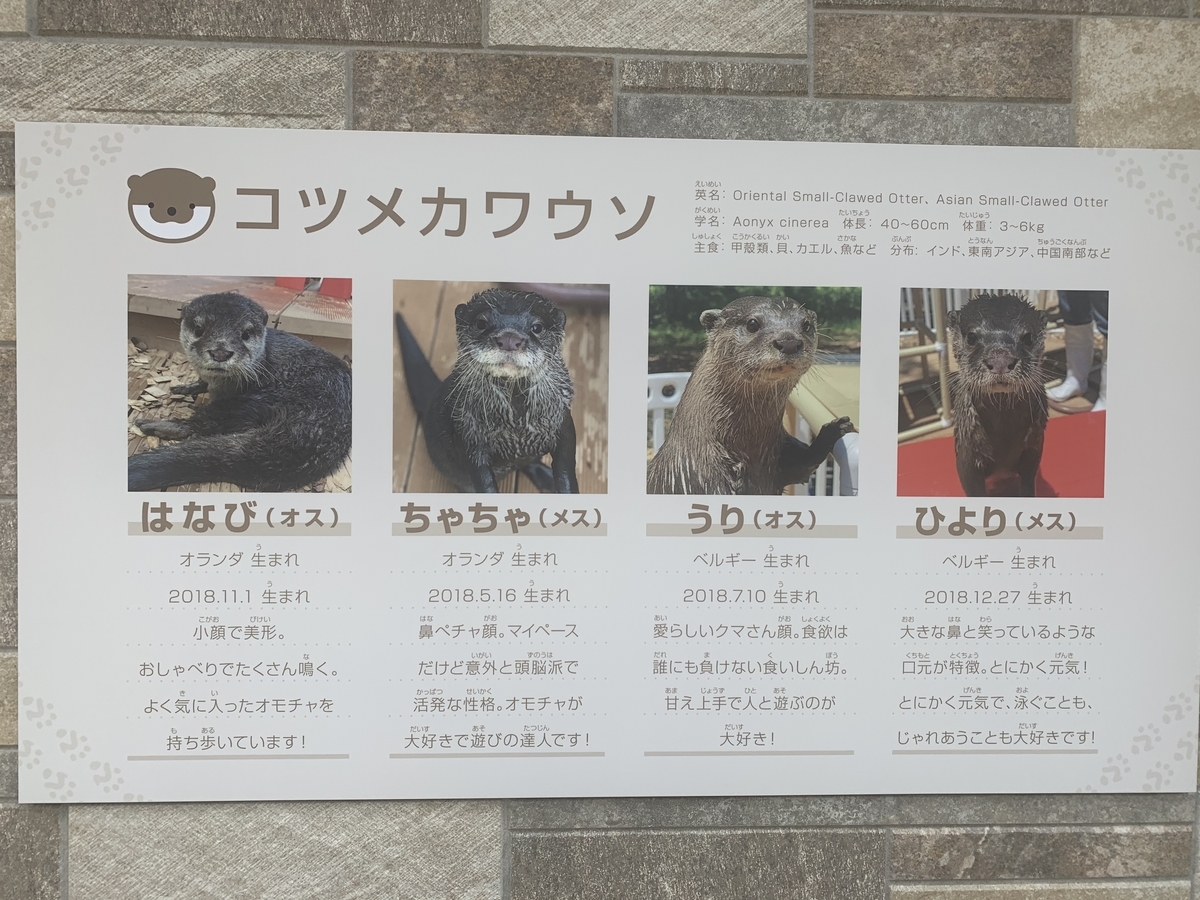 f:id:kataryuu:20210602160646j:plain