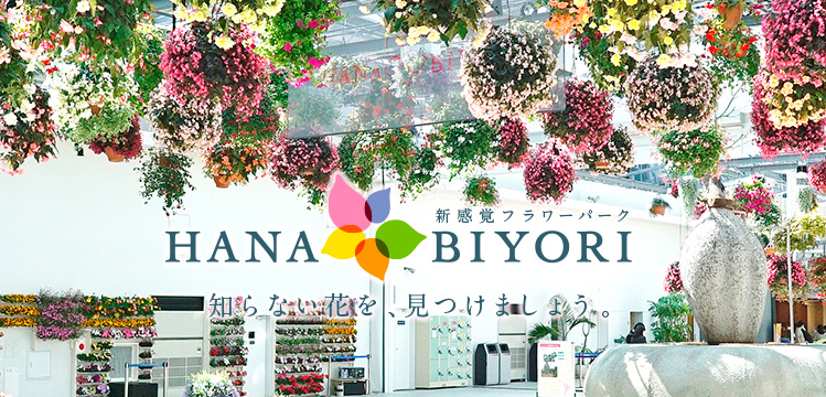 f:id:kataryuu:20210602171713p:plain