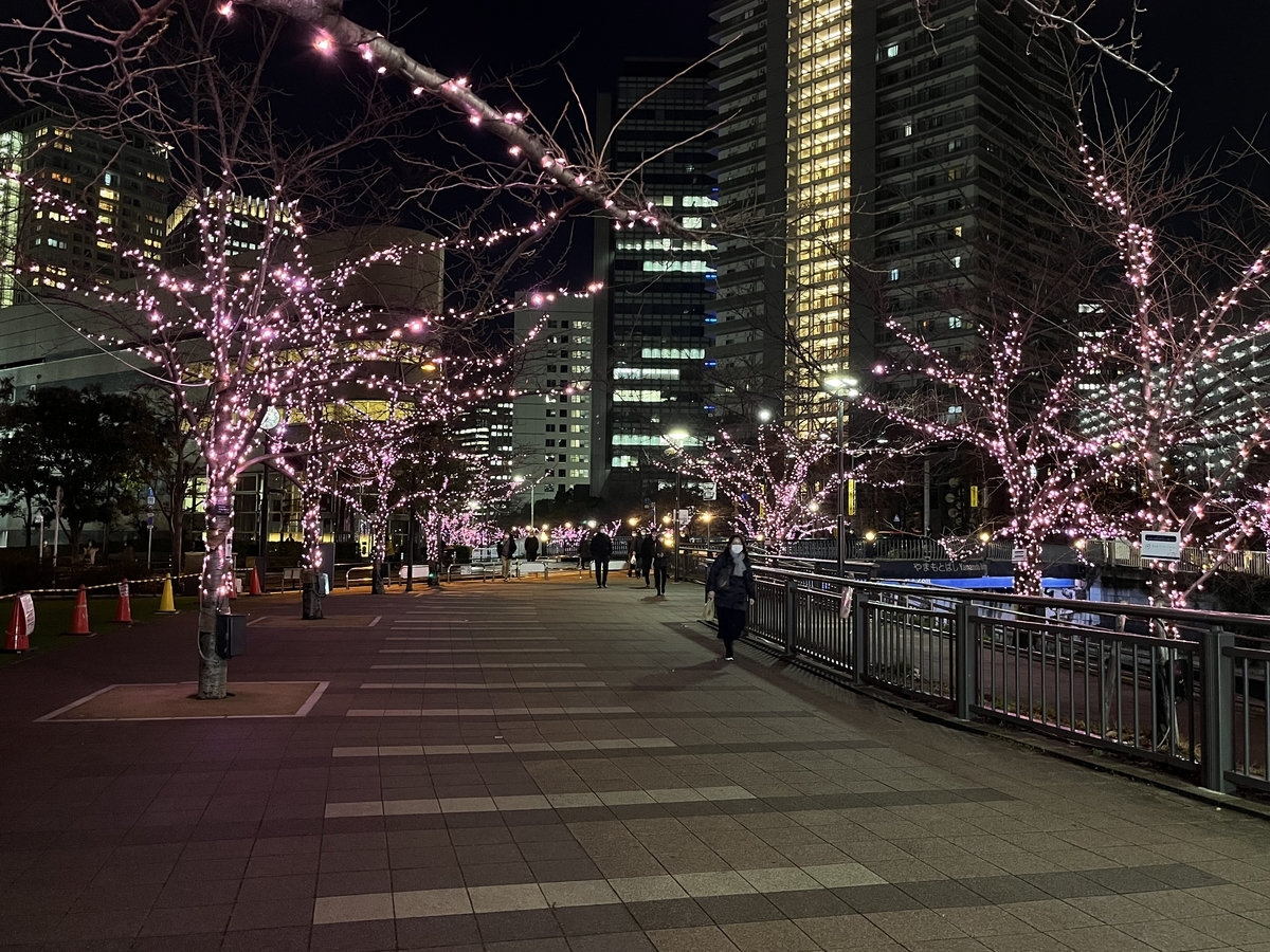 f:id:kataryuu:20211215150050j:plain