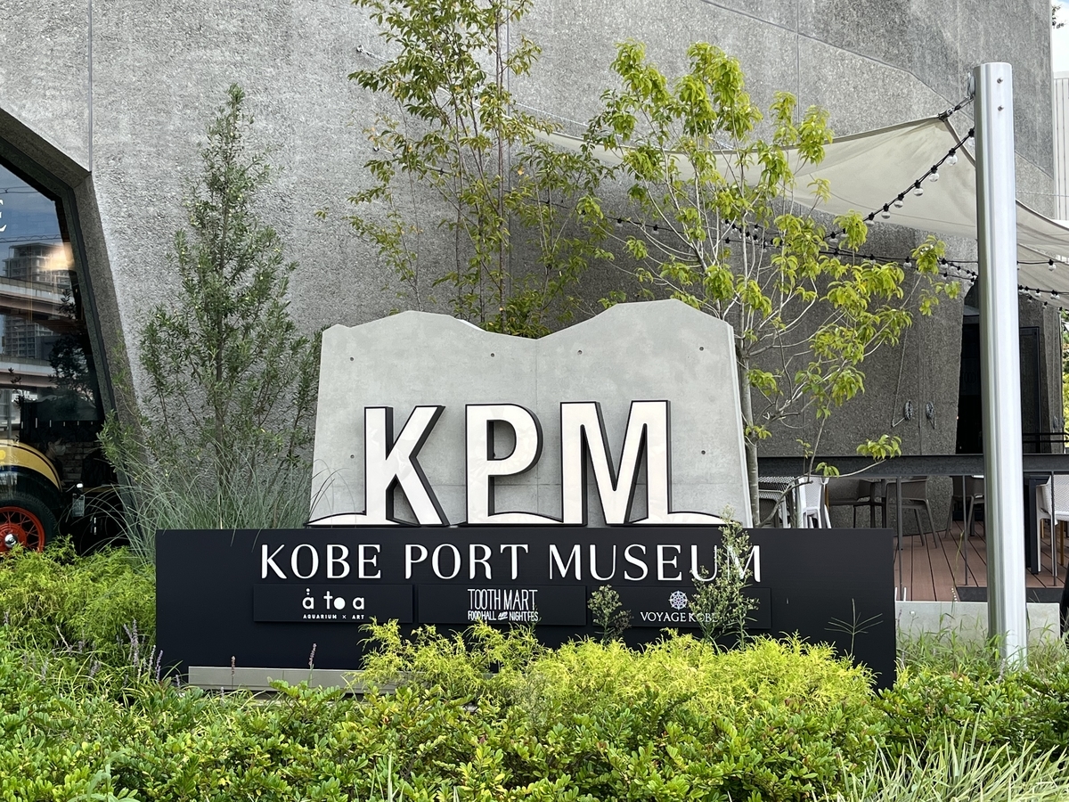 Atoa 水族館とアートの融合 映え狙いなら最適 国内最大の球体水槽アクアテラ ゾウガメも どこでもgo Atoa 水族館とアートの融合 映え狙いなら最適 国内最大の球体水槽アクアテラ ゾウガメも どこでもgo