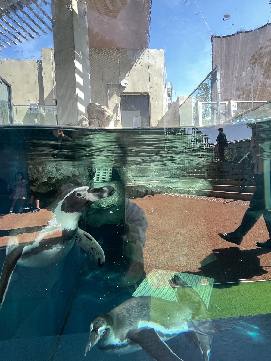 Atoa 水族館とアートの融合 映え狙いなら最適 国内最大の球体水槽アクアテラ ゾウガメも どこでもgo