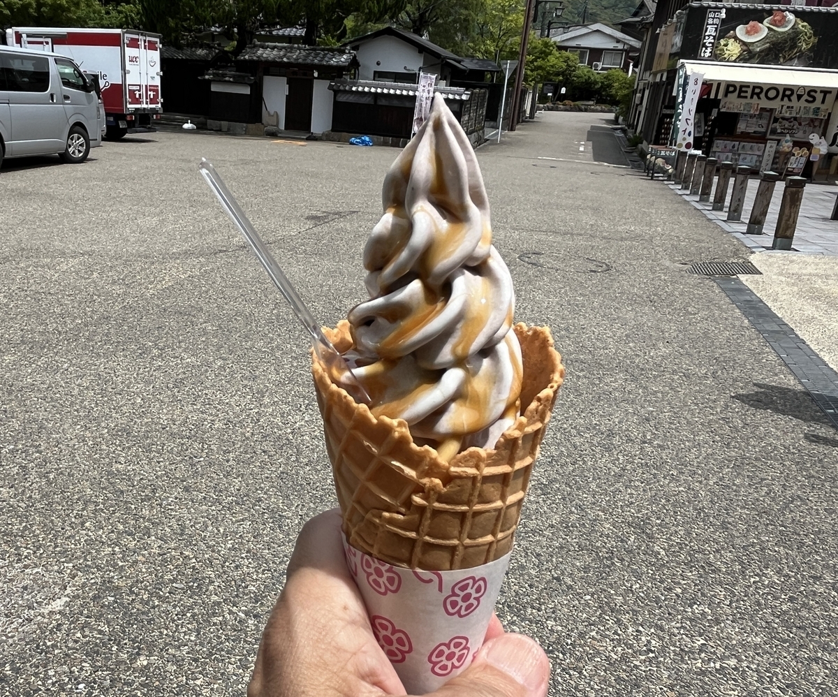 ソフトクリーム店むさし ナニコレ珍百景認定 その数日本一200種類！ 錦