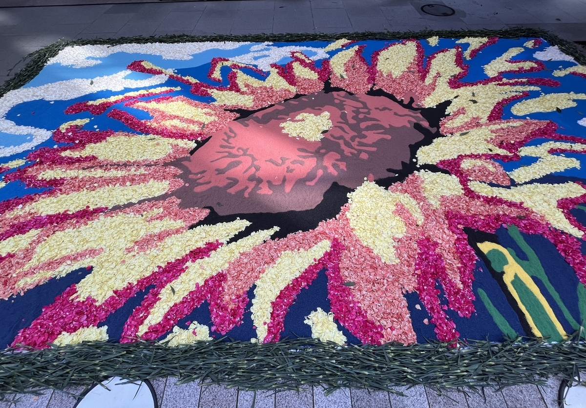Tokyo Flower Carpet 2024！ 東京フラワーカーペット 5万本の