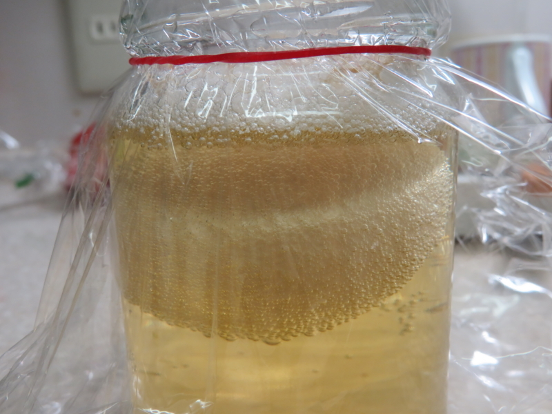 ぷよぷよ卵化学反応式付き 自由研究はまだ間に合う 小 中学生用 うみブログ