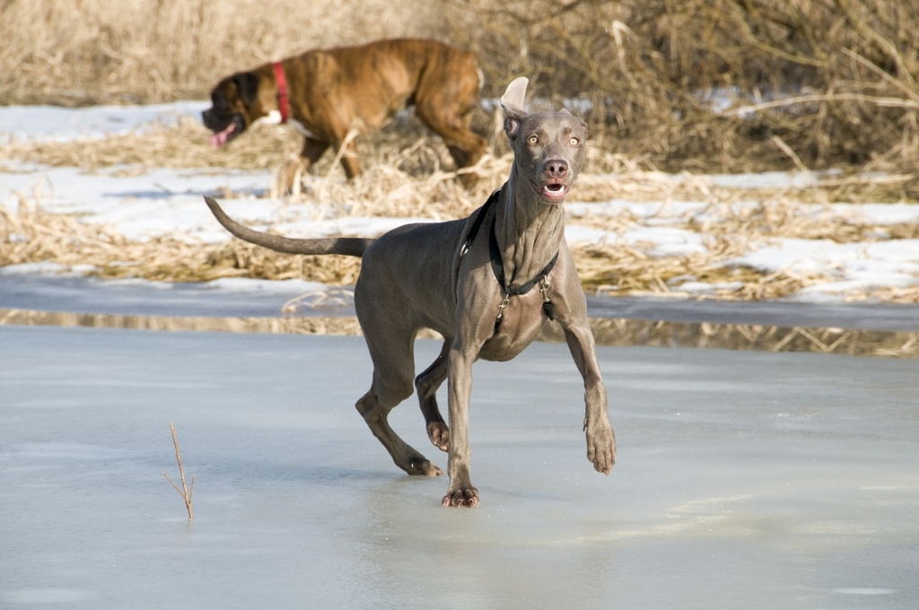 f:id:kataseumi:20171105230248j:plain