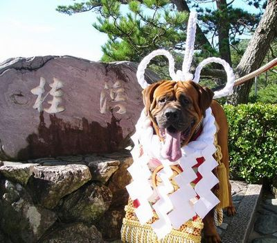 f:id:kataseumi:20171107001845p:plain