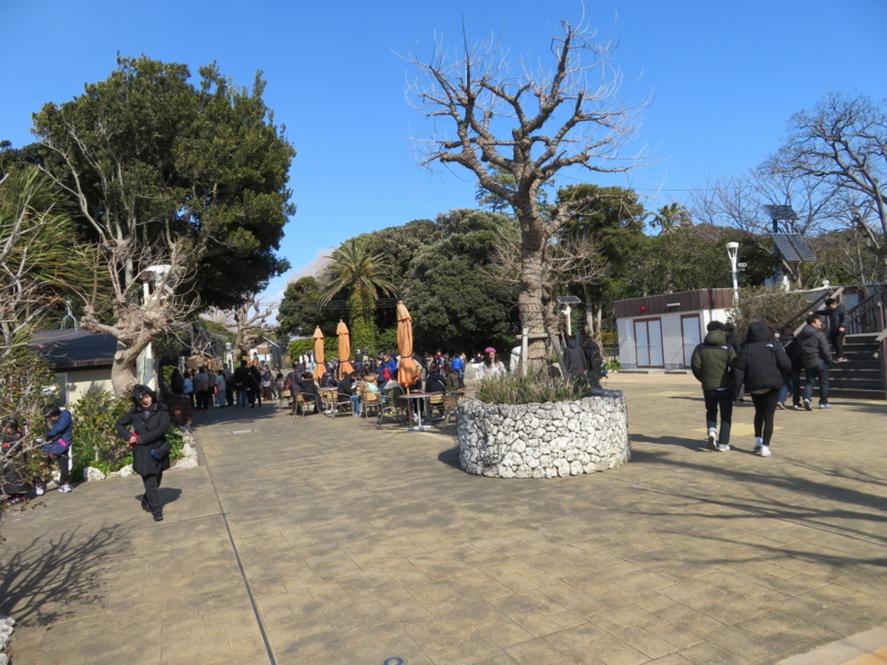 f:id:kataseumi:20180215204912j:plain f:id:kataseumi:20180215204912j:plain