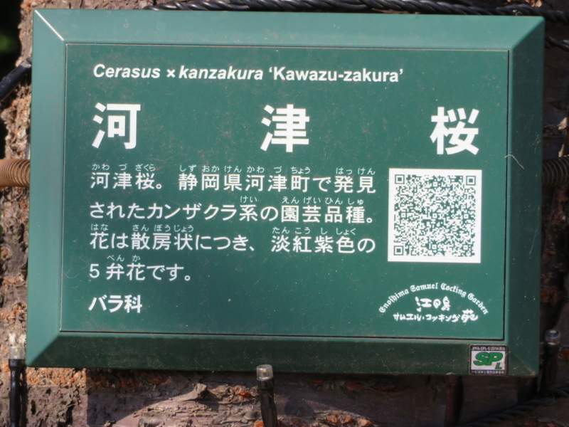 f:id:kataseumi:20180215204917j:plain f:id:kataseumi:20180215204917j:plain