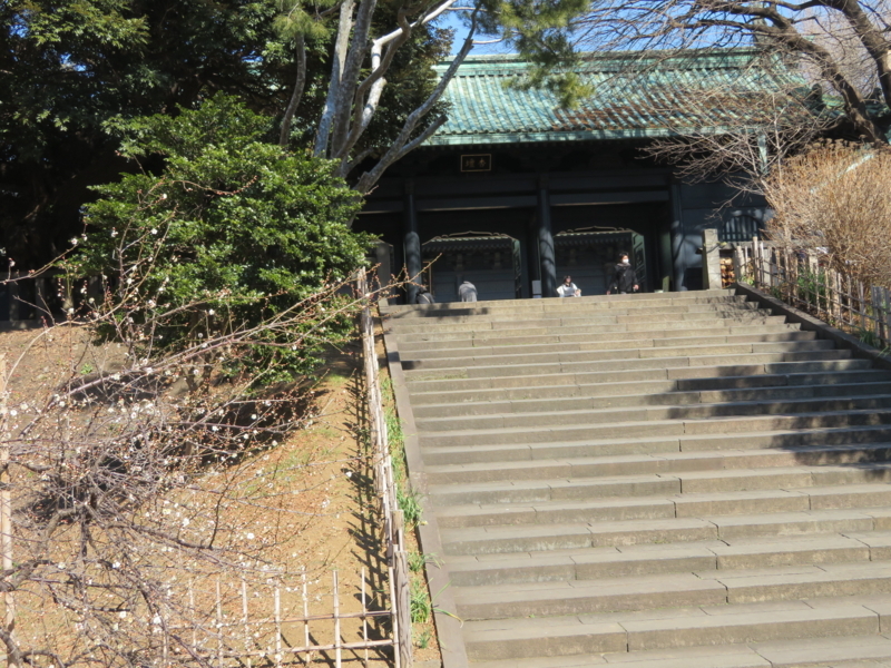 f:id:kataseumi:20180215205155j:plain f:id:kataseumi:20180215205155j:plain
