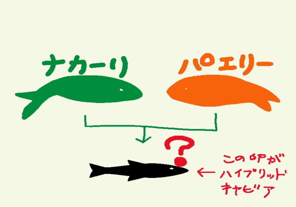 ハイブリッドキャビアってなんだ キャビアの種類とハイブリッドの食レポ うみブログ