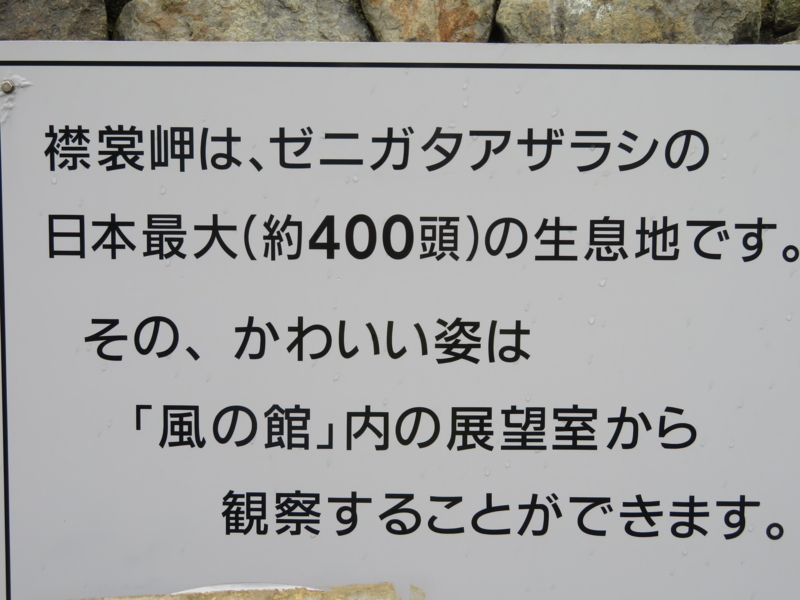 f:id:kataseumi:20180506222525j:plain f:id:kataseumi:20180506222525j:plain