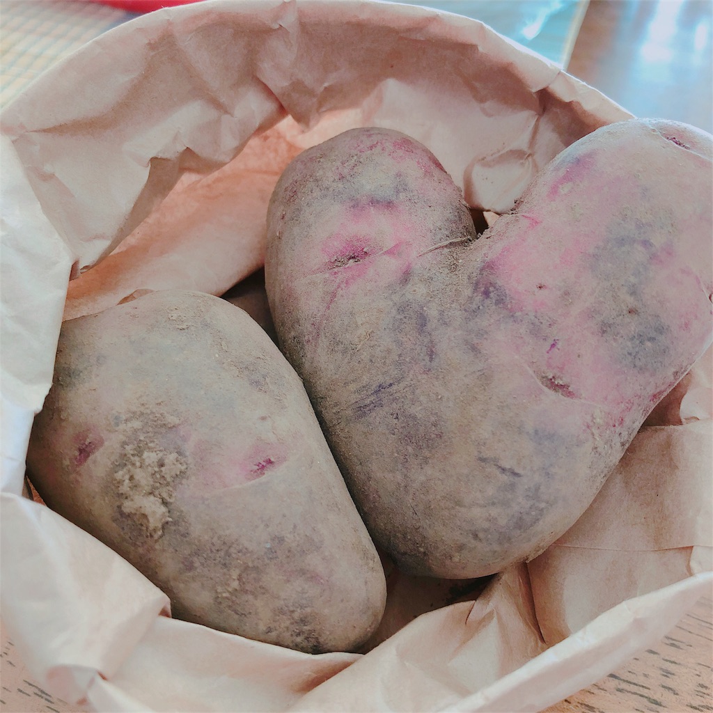 じゃがいもデストロイヤー写真